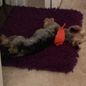 Meet your Posher, Deirdre